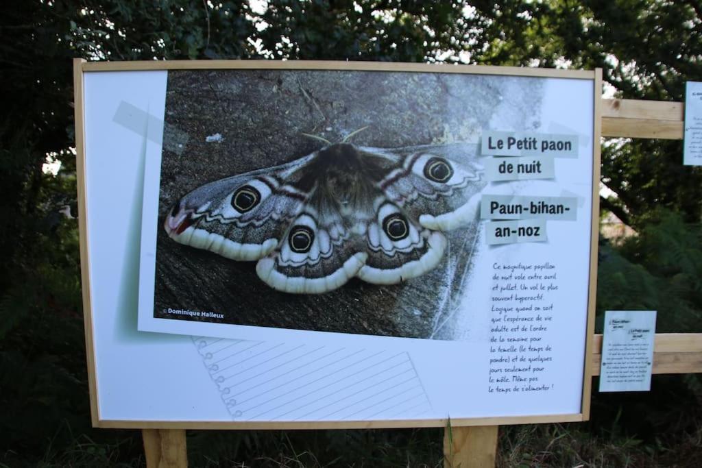 Вилла La Petite Bretonne Plounerin Экстерьер фото